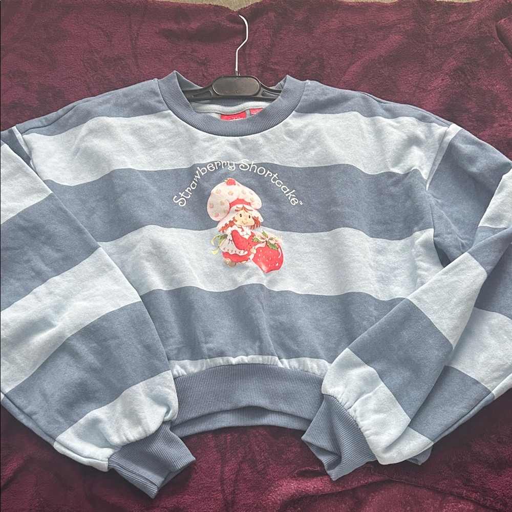 NWOT Strawberry Shortcake Blue Striped Sweatshirt - size XS